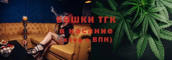 ПСИЛОЦИБИНОВЫЕ ГРИБЫ Аркадак