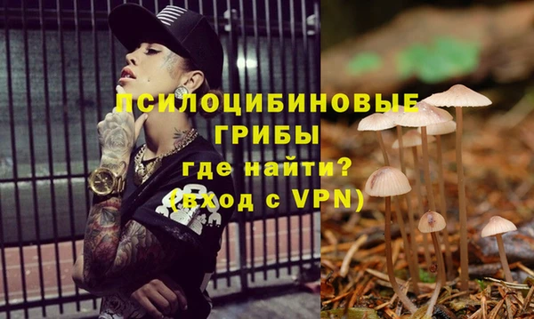 ПСИЛОЦИБИНОВЫЕ ГРИБЫ Аркадак