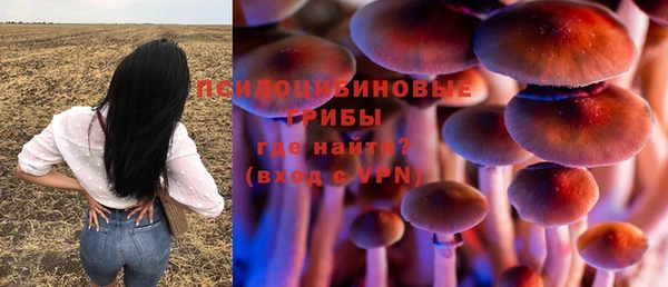 ПСИЛОЦИБИНОВЫЕ ГРИБЫ Аркадак