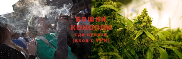 ПСИЛОЦИБИНОВЫЕ ГРИБЫ Аркадак