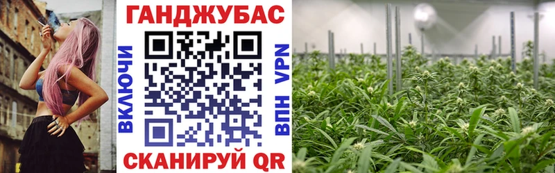 купить закладку Игра Канабис план